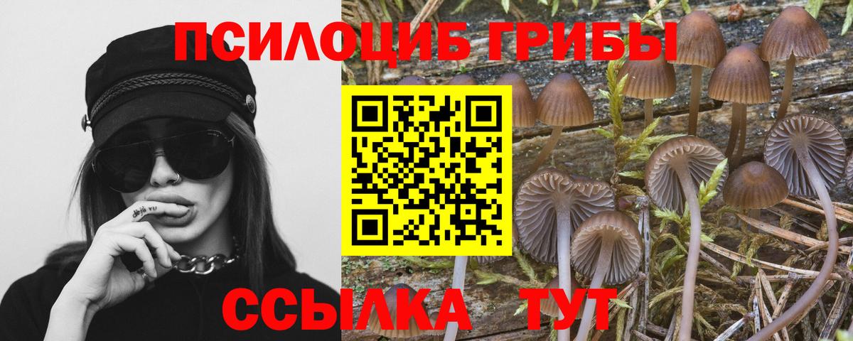 Галлюциногенные грибы Magic Shrooms  Вход с VPN  Ирбит  Галлюциногенные грибы MAGIC MUSHROOMS 